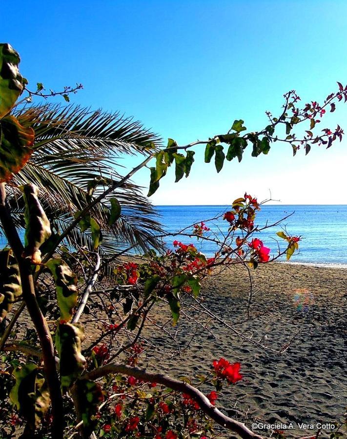 فندق La Palmera. El Amanecer En El Parque Natural أغوا امارجا المظهر الخارجي الصورة